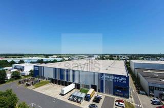Gewerbeimmobilie mieten in 47877 Willich, Moderne Logistikhalle in Willich / Viele Rampentore / 2027 verfügbar