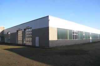 Gewerbeimmobilie kaufen in 24539 Wittorf, Gewerbeobjekt im Industriegebiet Süd mit mehreren Mietparteien