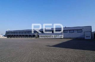 Gewerbeimmobilie mieten in 47877 Willich, Logistikhalle - Höhe 14,50 m - 16 Rampen - Regalsystem mit ca. 12.000 Stellplätzen