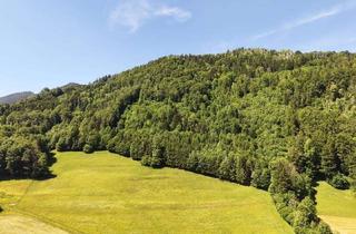 Grundstück zu kaufen in 83324 Ruhpolding, Zwei Waldgrundstücke in Ruhpolding