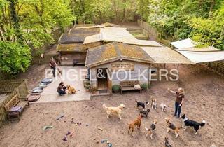 Grundstück zu kaufen in 27283 Verden, Gewerblich genutztes Spezialgrundstück am Stadtwald – Außenbereich gemäß § 35 BauGB (aktuell Hund...