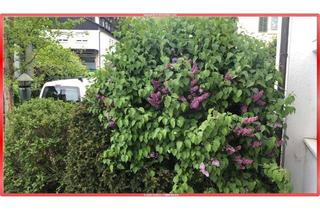 Wohnung mieten in 74906 Bad Rappenau, BARRIEREFREIES WOHNEN - GROSSE TERRASSE -OFFENE BEREICHE