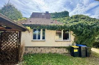 Einfamilienhaus kaufen in 06268 Barnstädt, Einfamilienhaus in Barnstädt mit Potenzial und schönem Grundstück