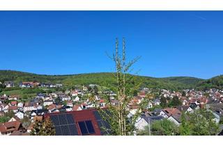Haus kaufen in 63857 Waldaschaff, PROVISIONSFREI: 2-Familienhaus mit großem Garten in Waldaschaff
