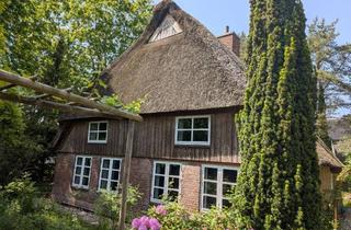 Haus kaufen in 25569 Kremperheide, Charmantes kernsaniertes Reetdachhaus mit moderner Technik und liebevoll angelegtem Garten