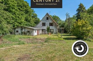 Haus kaufen in 27432 Basdahl, Großes Handwerkerhaus - Finanzierung inkl. Sanierungsgeld steht schon, Interesse?