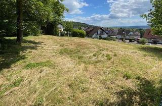 Grundstück zu kaufen in Zur Faustheck, 55444 Schöneberg, Großes Baugrundstück in Waldnähe mit Fernblick - ohne Maklerprovision