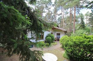 Haus kaufen in 04838 Zschepplin, Ein kleines Paradies im Grünen