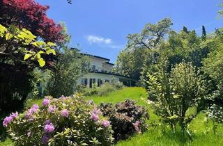 Einfamilienhaus kaufen in 79410 Badenweiler, Badenweiler - Besonderes Architektenhaus mit Panoramaausblick in Badenweiler