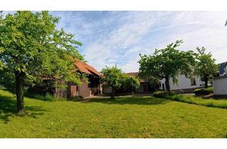 Haus kaufen in 64823 Groß-Umstadt, Groß-Umstadt / Wiebelsbach - MALERISCHE, AUSBAUFÄHIGE HOFREITE MIT VIEL PLATZ FÜR HANDWERKER ODER HOBBYBASTLER