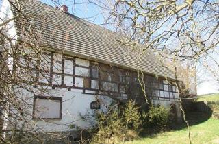 Bauernhaus kaufen in 09306 Rochlitz, Rochlitz - Ohne Denkmalschutz: Historisches Bauernhaus + großes Grundstück