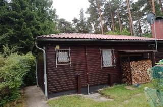 Haus kaufen in 29553 Bienenbüttel, Bienenbüttel - Wald Haus auf sehr großen Grundstück zu verkaufen