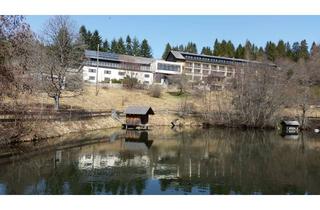 Gewerbeimmobilie kaufen in Hinterhäuser 21, 79859 Schluchsee, Grundstück, Hotel, Gewerbe, Halle, Werkstatt uvm