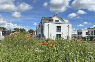 Wohnung mieten in Elfriede-Dittmer-Weg 10, 31157 Sarstedt, Sonnendurchflutete, gehobene 3 Zimmer Erstbezugswohnung, neue Einbauküche, Gartennutzung, Carport