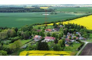 Haus kaufen in 17179 Altkalen, Mehr Platz für Ihre Zukunft: Charmantes Zuhause mit Garten, Kamin und Werkstatt