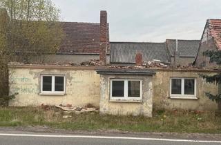 Haus kaufen in 39524 Wust, Schönhausen (Elbe) - Verkaufe Bebautes Grundstück