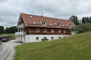 Wohnung mieten in Ziegeleistraße, 94234 Viechtach, Kompaktes Wohnen: Saniertes Apartment in Viechtach