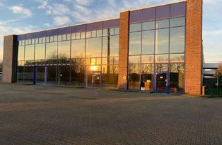 Büro zu mieten in Holsterfeld, 48499 Salzbergen, Helle Gewerbehalle mit großer Glasfront und Büroräumen - vielseitige Nutzungen