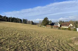 Grundstück zu kaufen in Ostpreußenweg 39, 78176 Blumberg, Baugrundstück in Blumberg – 535 m², voll erschlossen, genehmigungsfähige Planung vorhanden