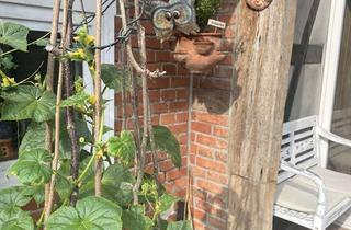 Haus kaufen in 31688 Nienstädt, Kernsaniertes Fachwerkhaus mit großem Naturgrundstück