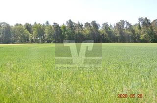 Immobilie kaufen in 29396 Schönewörde, ** ACKER | WIESE | WALD ** in Schönewörde **