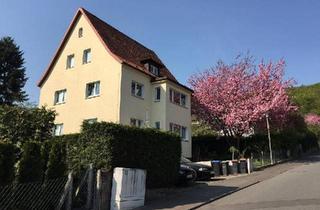 Mehrfamilienhaus kaufen in 31812 Bad Pyrmont, Bad Pyrmont - Sonnige Kapitalanlage in Bad Pyrmont