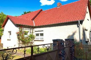 Einfamilienhaus kaufen in 03205 Calau, Calau - Einfamilienhaus mit Potenzial in ruhiger Lage - OT Calau