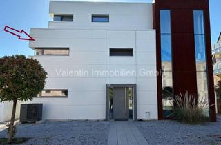 Wohnung kaufen in 33102 Paderborn, Exklusive Dachterrassenwohnung in sehr guter Innenstadtlage - ruhig, hochwertig, mit besonderem Wohn