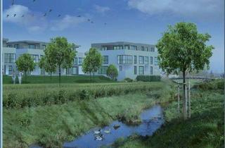 Wohnung mieten in Dammstraße 23, 74360 Ilsfeld, Schwellenfreie 2,5-Zimmer-Whg, gehobene Ausstattung, EBK, Balkon + TG in Ilsfeld.
