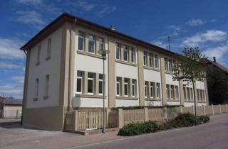 Wohnung mieten in Brettener Straße 44, 75447 Sternenfels, Gepflegte 2-Zimmer-Wohnung in Sternenfels