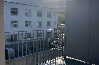 Wohnung mieten in 79418 Schliengen, Moderne 2-Zimmer Wohnung mit Balkon (W20H11/1)