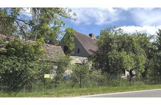 Haus kaufen in 03130 Spremberg, Gehöft am Stadtrand - Für fleißige Hände