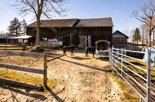 Haus kaufen in 07366 Harra, Exklusives Anwesen für Pferdeliebhaber – 11,48 ha & Reitplatz in Alleinlage