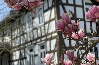 Haus mieten in 56307 Dernbach, Sanierte 4-Zimmer-Doppelhaushälfte mit Einbauküche in Dernbach, Neuwied (Kreis)