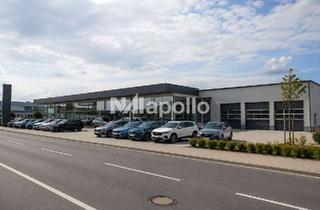 Gewerbeimmobilie kaufen in 61169 Friedberg, Autohaus mit großzügigen Außenflächen und hervorragender Sichtbarkeit