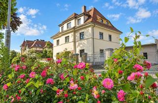 Anlageobjekt in 01900 Großröhrsdorf, Attraktives Mehrfamilienhaus mit großem Innenhof und Nebengebäuden