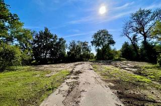Grundstück zu kaufen in Klosterweg, 25572 Ecklak, Natur pur genießen – Baugrundstück mit Baugenehmigung in traumhafter Alleinlage