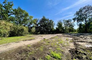 Grundstück zu kaufen in Klosterweg, 25572 Ecklak, Natur pur genießen – Baugrundstück mit Baugenehmigung in traumhafter Alleinlage