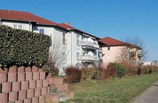 Wohnung mieten in 35460 Staufenberg, Helle und ruhige 2ZKB WHG in Seniorenwohnanlage mit BK und Aufzug