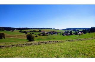 Wohnung mieten in 79733 Görwihl, Naturnahes Wohnen in ruhiger und ländlicher Umgebung