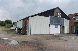 Gewerbeimmobilie kaufen in 25727 Frestedt, Vielseitig nutzbare Halle mit Entwicklungspotenzial!