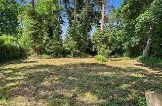 Immobilie kaufen in 14612 Falkensee, Ca. 1.430 m² Grundstück mit positiver Bebauungsperspektive in Falkensee