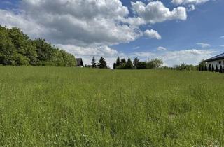 Immobilie kaufen in 06268 Querfurt, Großzügiges Baugrundstück in ruhiger Lage von Ziegelroda