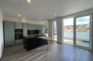 Penthouse kaufen in 75180 Pforzheim, Exklusives Penthouse - in Best Lage von Dillweißenstein!