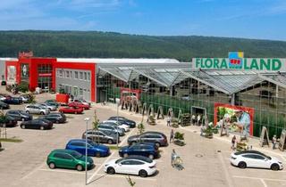 Gewerbeimmobilie kaufen in 33154 Salzkotten, Verbrauchermarkt mit langfristig gesichertem Cashflow durch bonitätsstarken Mieter bis 2031 zzgl. Optionen in NRW | Faktor 14,3