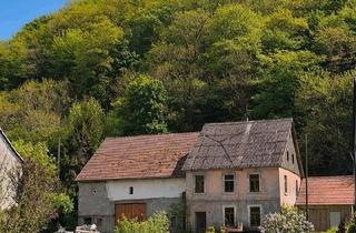 Bauernhaus kaufen in 55767 Brücken, Brücken - Ehemaliger Bauernhof- in traumhafter Lage an der Nahe