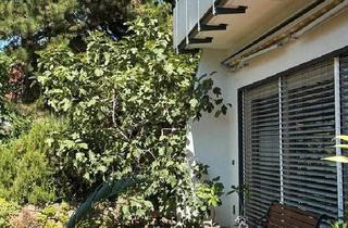 Haus kaufen in 76744 Wörth, Wörth am Rhein - *Provisionsfrei* Rheinzabern EFH mit Einliegerwohnung