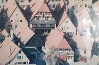 Wohnung kaufen in 91550 Dinkelsbühl, Dinkelsbühl - verkaufe schönes Apartment in Dinkelsbühl Toplage