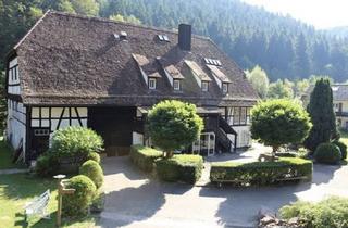 Wohnung mieten in Waldecker Hof, 75365 Calw, Calw (Kreis) - Helles Wohnappartement mit Balkon und Naturblick