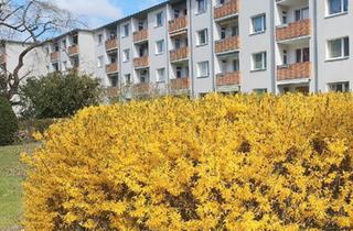 Wohnung kaufen in 12247 Berlin, Berlin - Berlin 53m² freie 2 Zi Wohnung 12247 Balkon EBK kein Makler